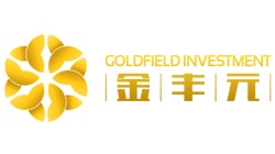 北京金豐元投資管理有限公司